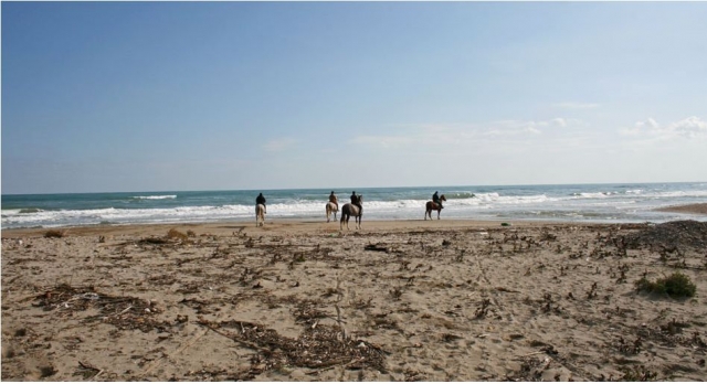  Un hermoso día en la playa en Alba Adriatica 